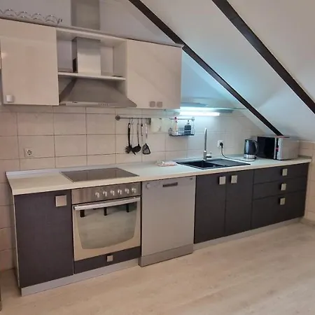Renovated Skorin Apartment *