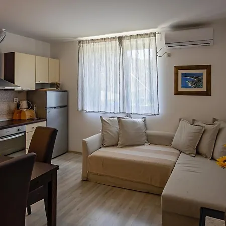 Renovated Skorin