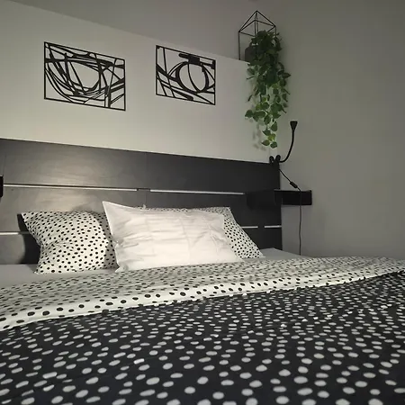Renovated Skorin