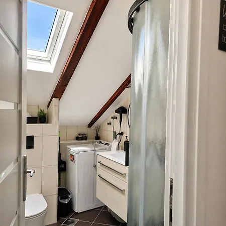Renovated Skorin Apartment