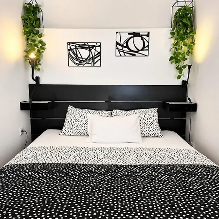 Daire Renovated Skorin *