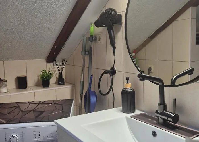 Renovated Skorin ロゴズニッツァ